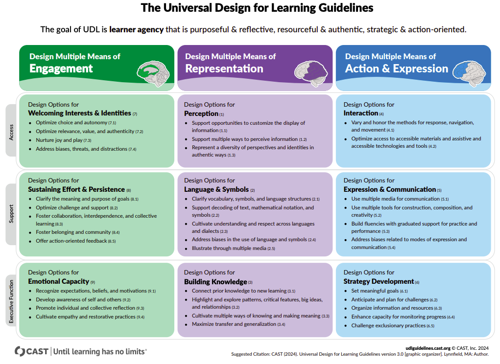 Graphic chart of UDL, accessible link provided below image.